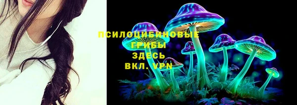 экстази Бикин