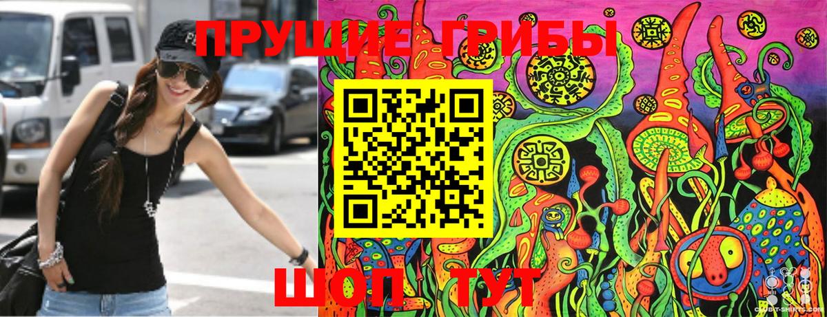 Галлюциногенные грибы Psilocybe  Вход с VPN  Балашов 