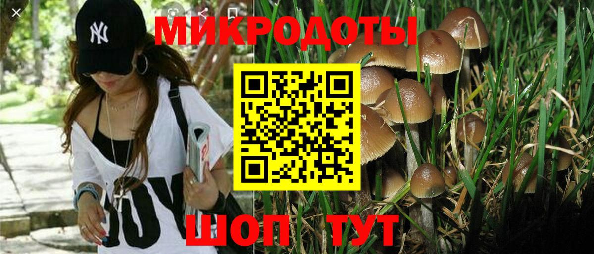 Псилоцибиновые грибы GOLDEN TEACHER  Вход с VPN  Балашов  хочу наркоту  Галлюциногенные грибы мухоморы 