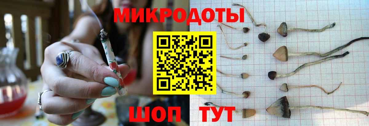 ГАШИШ Балашов