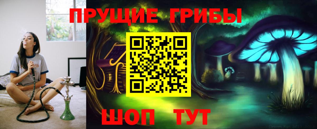 Псилоцибиновые грибы GOLDEN TEACHER  Балашов  Псилоцибиновые грибы Psilocybine cubensis 