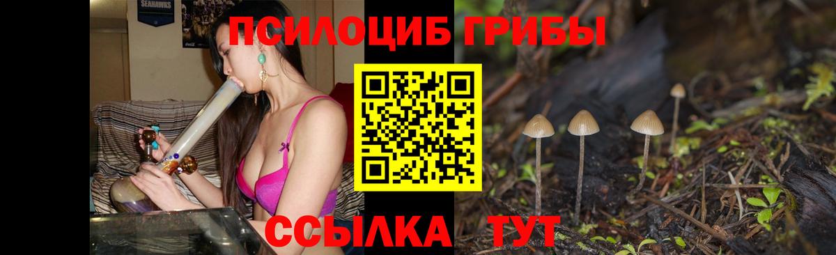 Галлюциногенные грибы мухоморы Балашов